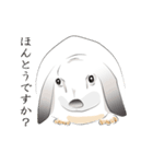 垂れ耳ウサギの日常（個別スタンプ：27）