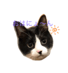 なーくんといっしょ（個別スタンプ：1）