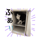 なーくんといっしょ（個別スタンプ：4）