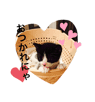 なーくんといっしょ（個別スタンプ：5）
