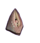 二枚貝（個別スタンプ：3）