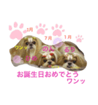 のんひめるり3ワンs"色々編（個別スタンプ：3）