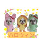のんひめるり3ワンs"色々編（個別スタンプ：5）