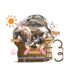 のんひめるり3ワンs"色々編（個別スタンプ：6）