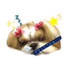 のんひめるり3ワンs"色々編（個別スタンプ：7）