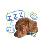 LIBRA①（個別スタンプ：2）
