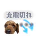LIBRA①（個別スタンプ：8）
