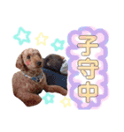 LIBRA①（個別スタンプ：14）