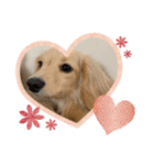 天真爛漫みるくデス❣️（個別スタンプ：8）