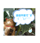 幸せな招き猫 （見やすくなった ）（個別スタンプ：6）