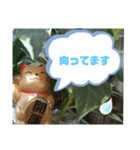 幸せな招き猫 （見やすくなった ）（個別スタンプ：7）