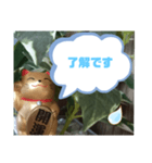 幸せな招き猫 （見やすくなった ）（個別スタンプ：10）