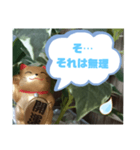 幸せな招き猫 （見やすくなった ）（個別スタンプ：12）