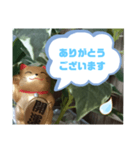 幸せな招き猫 （見やすくなった ）（個別スタンプ：16）