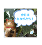 幸せな招き猫 （見やすくなった ）（個別スタンプ：24）