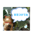 幸せな招き猫 （見やすくなった ）（個別スタンプ：26）