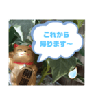 幸せな招き猫 （見やすくなった ）（個別スタンプ：33）