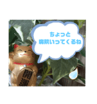 幸せな招き猫 （見やすくなった ）（個別スタンプ：38）