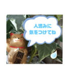 幸せな招き猫 （見やすくなった ）（個別スタンプ：39）