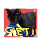 うちの黒猫の福ちゃん⑧（個別スタンプ：4）