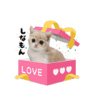 ムサシっこ1（個別スタンプ：1）