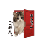 ムサシっこ1（個別スタンプ：3）