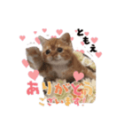 ムサシっこ1（個別スタンプ：5）