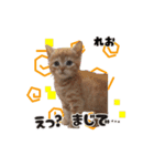 ムサシっこ1（個別スタンプ：7）