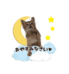 ムサシっこ1（個別スタンプ：8）