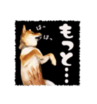 柴犬・おこげちゃん（個別スタンプ：35）
