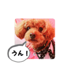 トイプー ミッキー＆ミニー4（個別スタンプ：2）