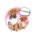 トイプー ミッキー＆ミニー4（個別スタンプ：5）