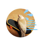 文鳥のひととき（個別スタンプ：8）