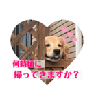 北海道にお住まいのCoCoちゃん（個別スタンプ：5）