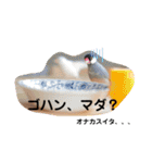 北海道にお住まいのCoCoちゃん（個別スタンプ：21）