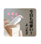 北海道にお住まいのCoCoちゃん（個別スタンプ：22）