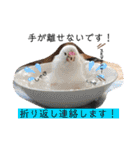 北海道にお住まいのCoCoちゃん（個別スタンプ：24）