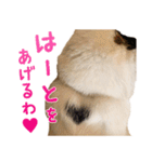 たぼろく（個別スタンプ：1）