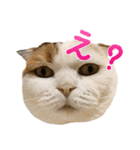 たぼろく（個別スタンプ：3）