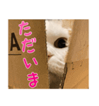 たぼろく（個別スタンプ：5）