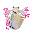 たぼろく（個別スタンプ：7）