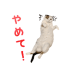 たぼろく（個別スタンプ：8）