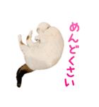 たぼろく（個別スタンプ：10）