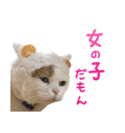 たぼろく（個別スタンプ：12）