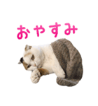 たぼろく（個別スタンプ：18）