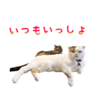 たぼろく（個別スタンプ：19）