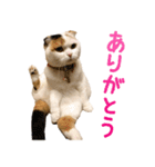 たぼろく（個別スタンプ：20）