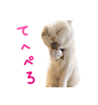 たぼろく（個別スタンプ：21）