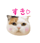 たぼろく（個別スタンプ：22）