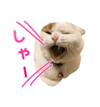 たぼろく（個別スタンプ：23）
